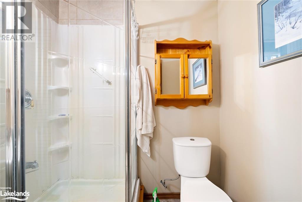 10 Route 66 Road, Seguin, Ontario  P2A 2W8 - Photo 27 - 40599963