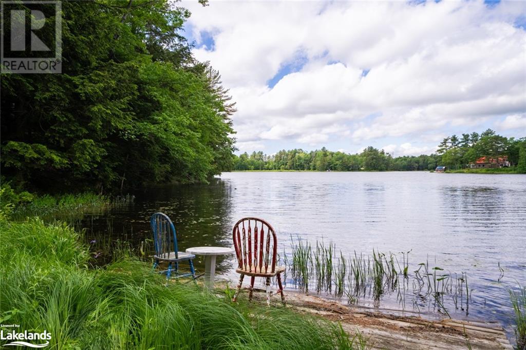 10 Route 66 Road, Seguin, Ontario  P2A 2W8 - Photo 43 - 40599963