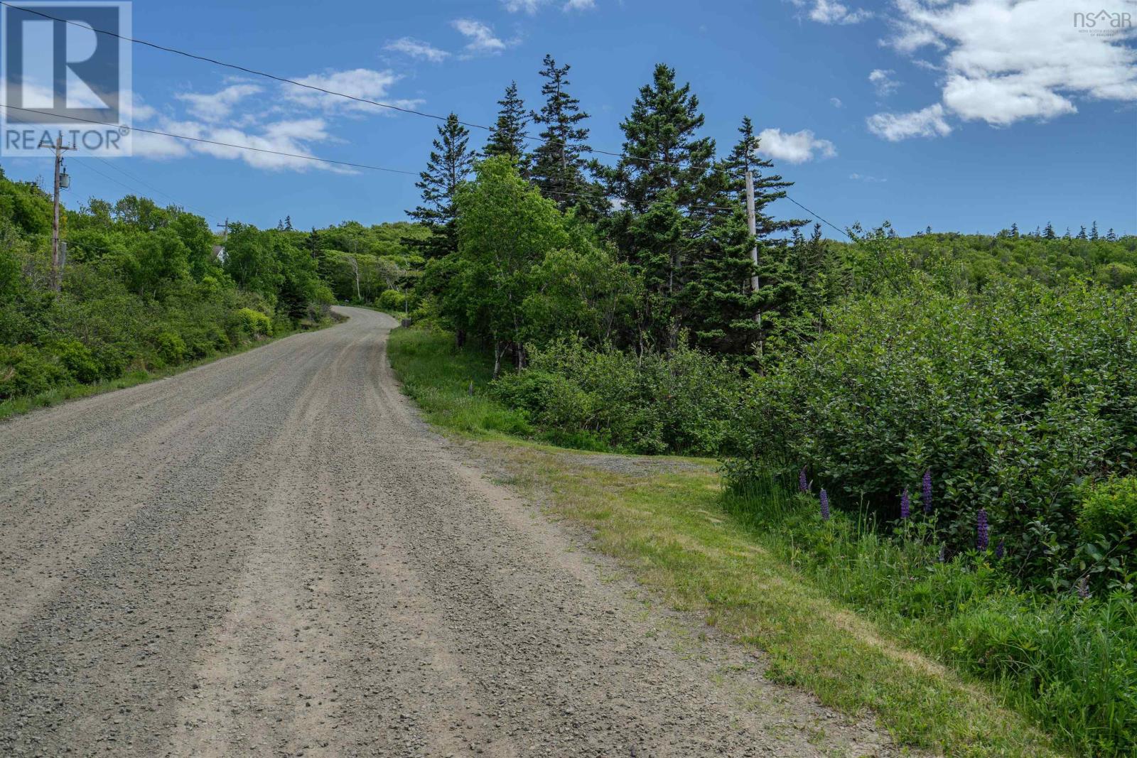 223 Whale Cove Road, Whale Cove, Nova Scotia  B0V 1E0 - Photo 29 - 202413277