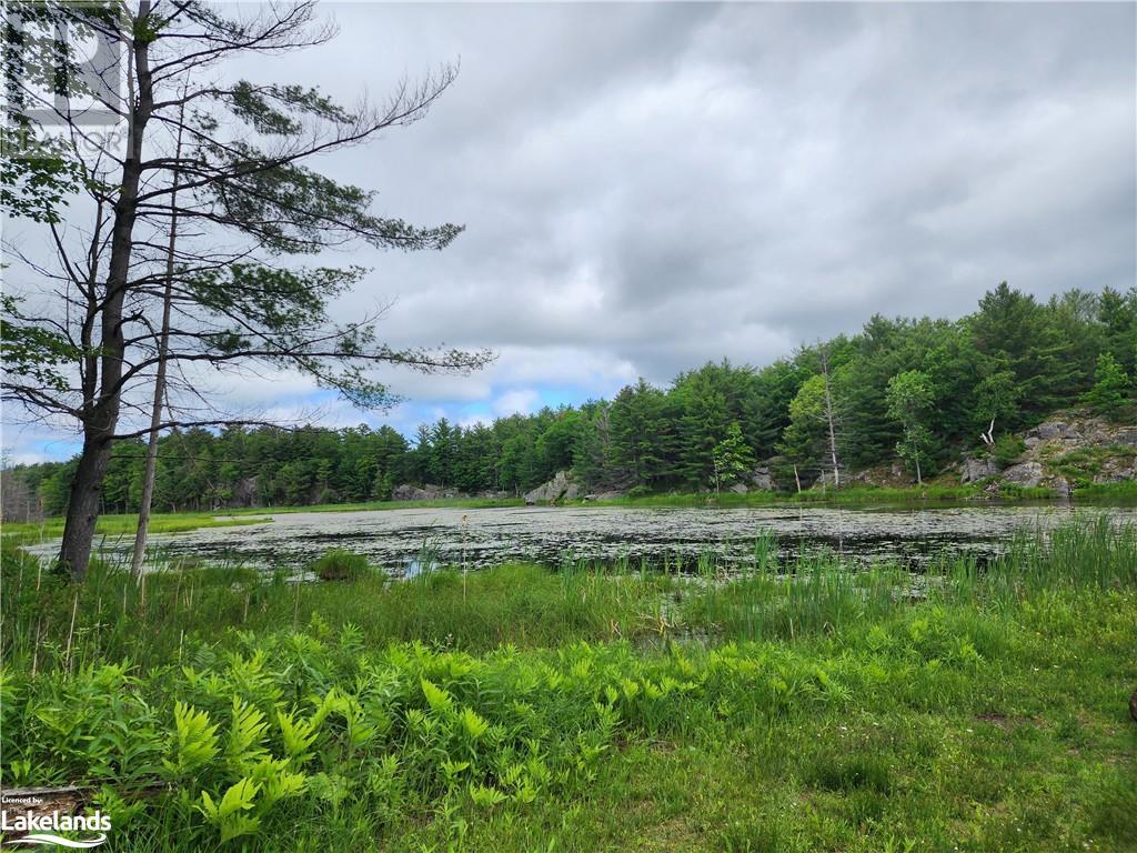 1007 Racoon Road Unit# 60, Gravenhurst, Ontario  P1P 1R1 - Photo 23 - 40603087