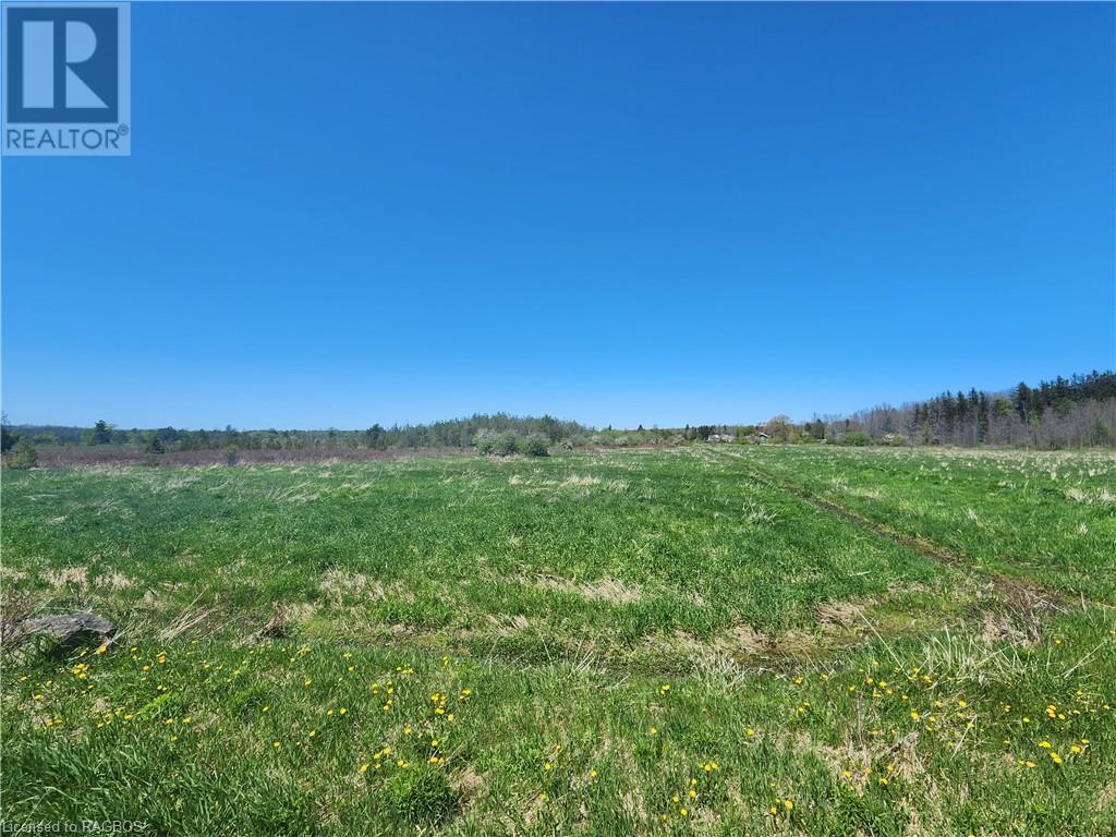 Pt Parklt 1 Range 1 Elm Street, Wiarton, Ontario  N0H 2T0 - Photo 17 - 40600444