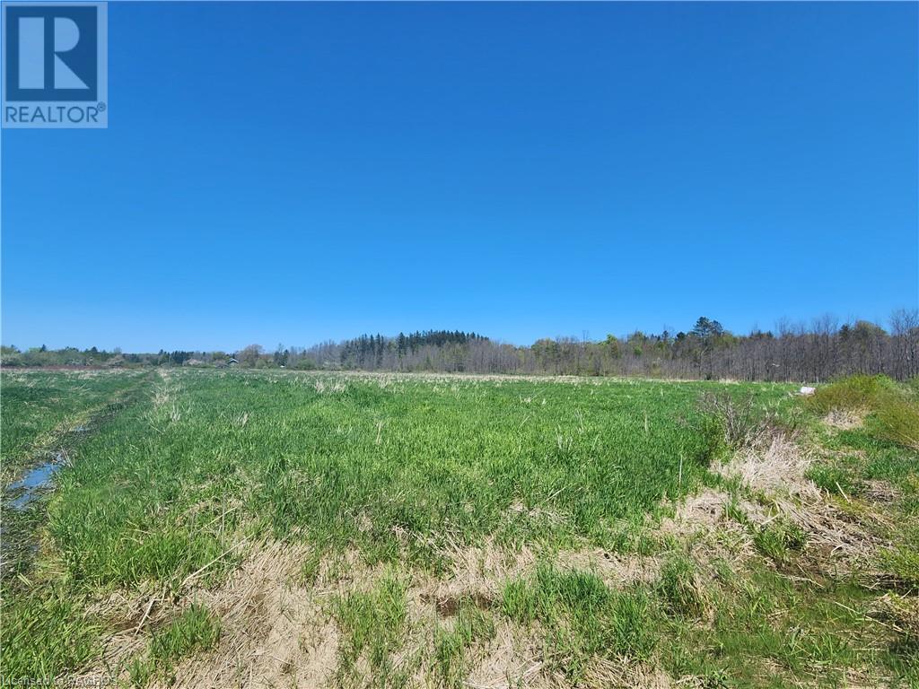 Pt Parklt 1 Range 1 Elm Street, Wiarton, Ontario  N0H 2T0 - Photo 18 - 40600444