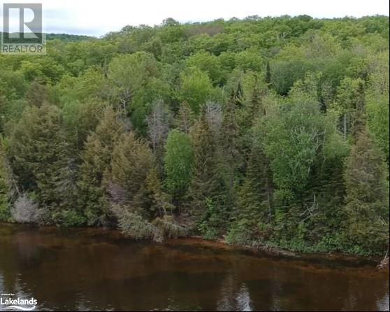 Lot 7 Chemical Road, South River, Ontario  P0A 1X0 - Photo 1 - 40603243