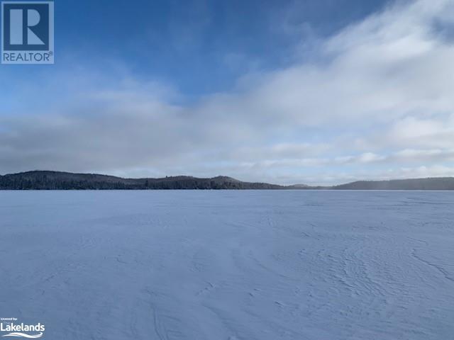 Lot 7 Chemical Road, South River, Ontario  P0A 1X0 - Photo 10 - 40603243