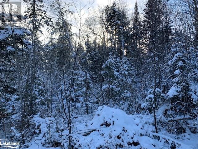 Lot 7 Chemical Road, South River, Ontario  P0A 1X0 - Photo 16 - 40603243