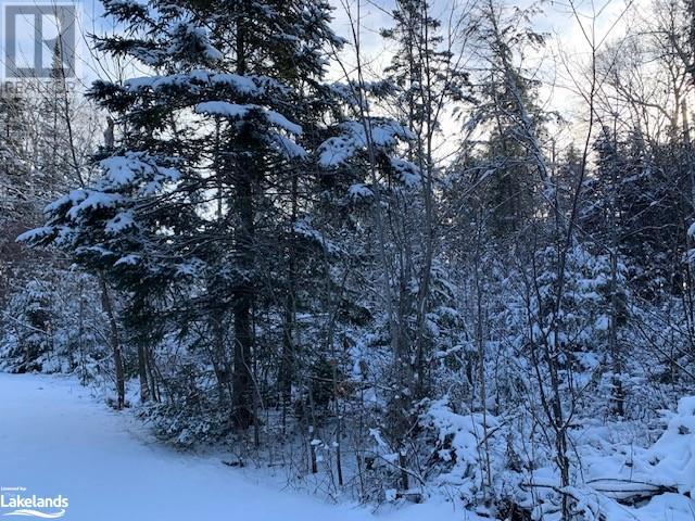 Lot 7 Chemical Road, South River, Ontario  P0A 1X0 - Photo 17 - 40603243