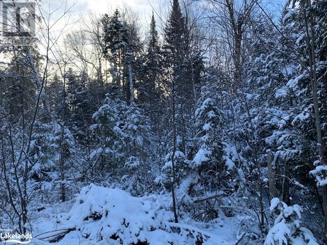 Lot 7 Chemical Road, South River, Ontario  P0A 1X0 - Photo 18 - 40603243