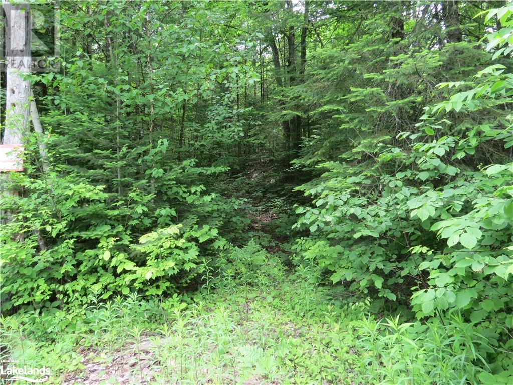 0 Hadlington Road, Tory Hill, Ontario  K0L 2Y0 - Photo 2 - 40603523