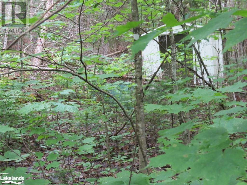 0 Hadlington Road, Tory Hill, Ontario  K0L 2Y0 - Photo 3 - 40603523