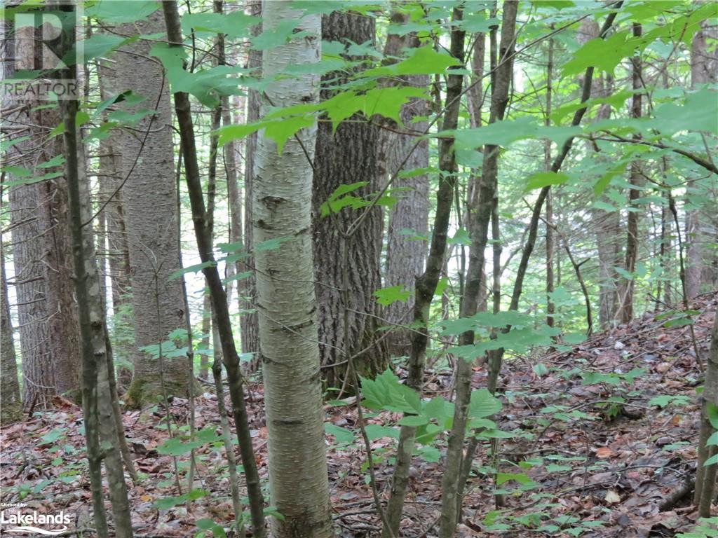 0 Hadlington Road, Tory Hill, Ontario  K0L 2Y0 - Photo 6 - 40603523