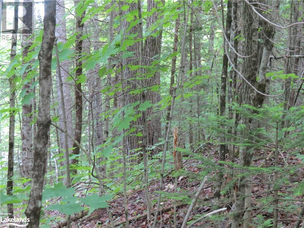 0 Hadlington Road, Tory Hill, Ontario  K0L 2Y0 - Photo 8 - 40603523