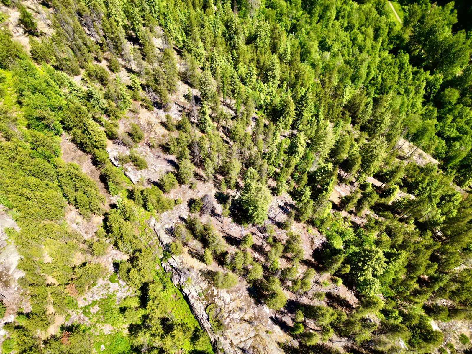 2700 14th Avenue, Castlegar, British Columbia  V1L 1Z1 - Photo 11 - 2477584