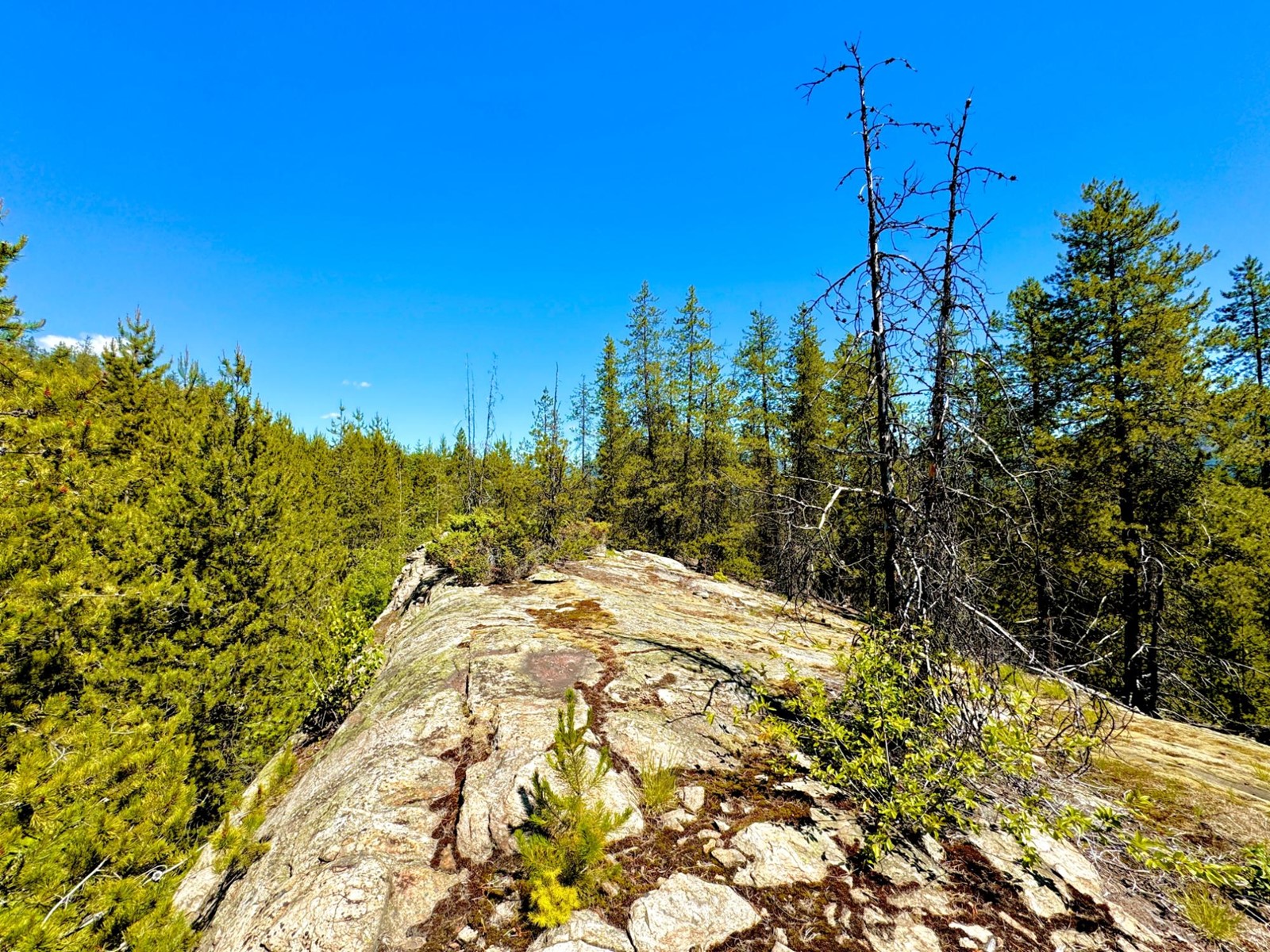 2700 14th Avenue, Castlegar, British Columbia  V1L 1Z1 - Photo 26 - 2477584