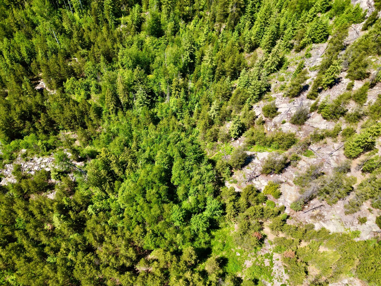 2700 14th Avenue, Castlegar, British Columbia  V1L 1Z1 - Photo 20 - 2477584