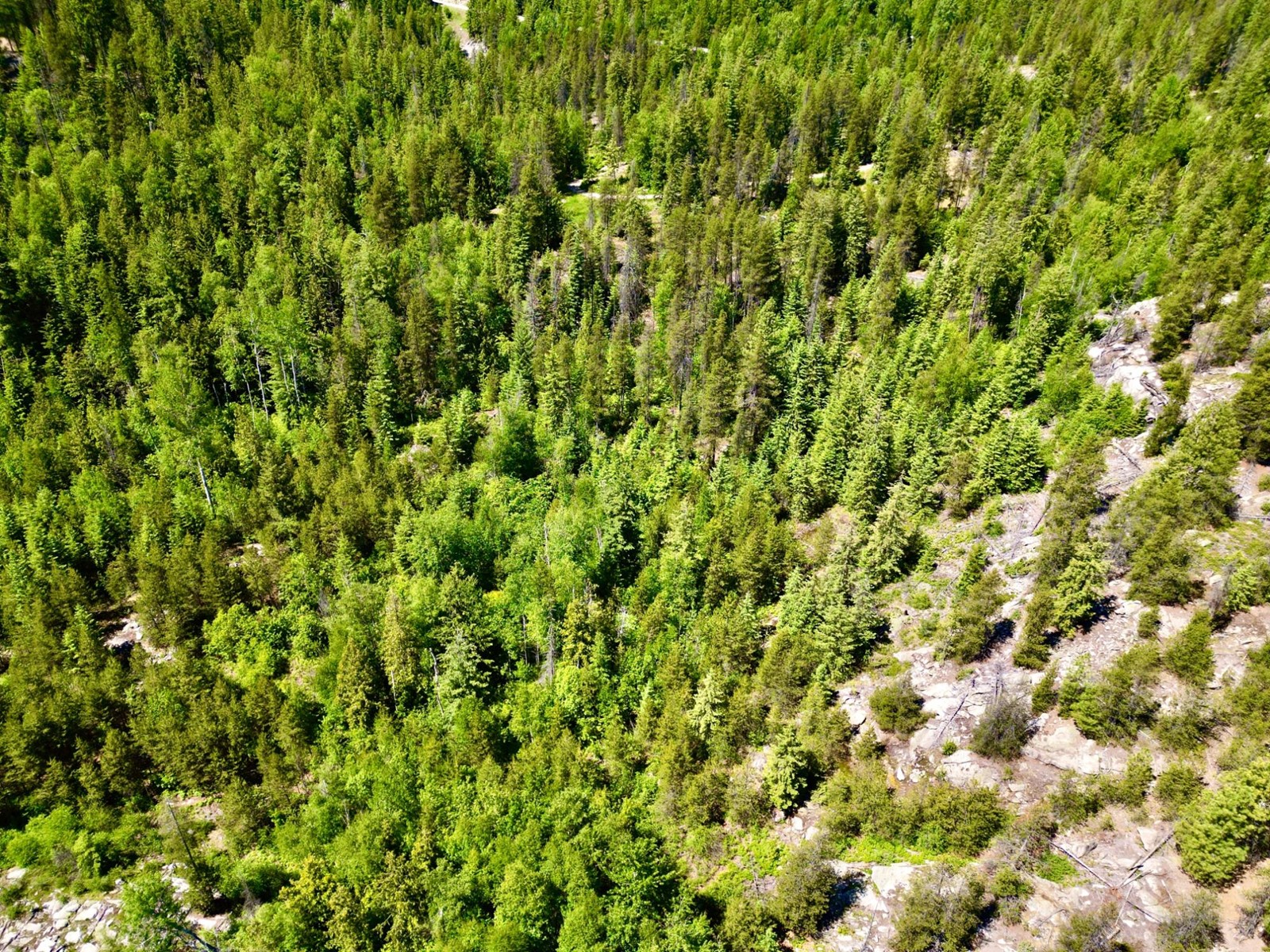 2700 14th Avenue, Castlegar, British Columbia  V1L 1Z1 - Photo 10 - 2477584