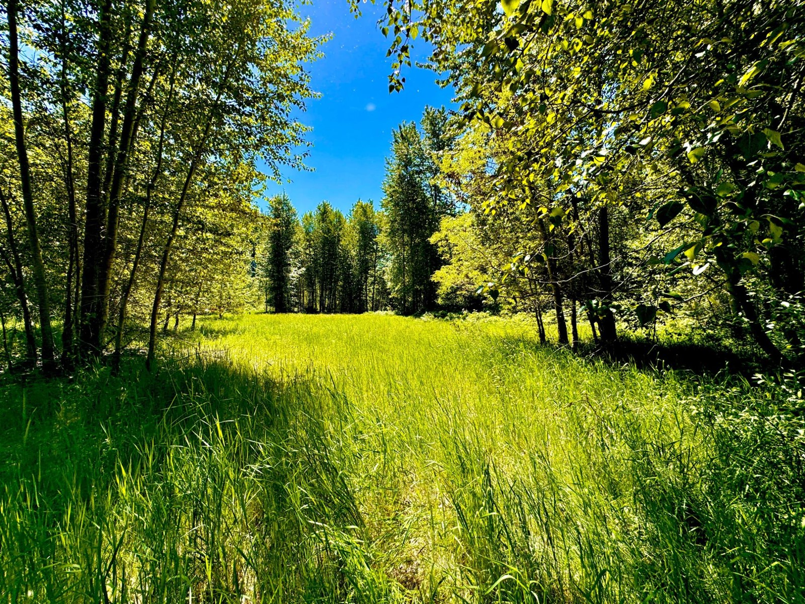 2700 14TH AVENUE, castlegar, British Columbia