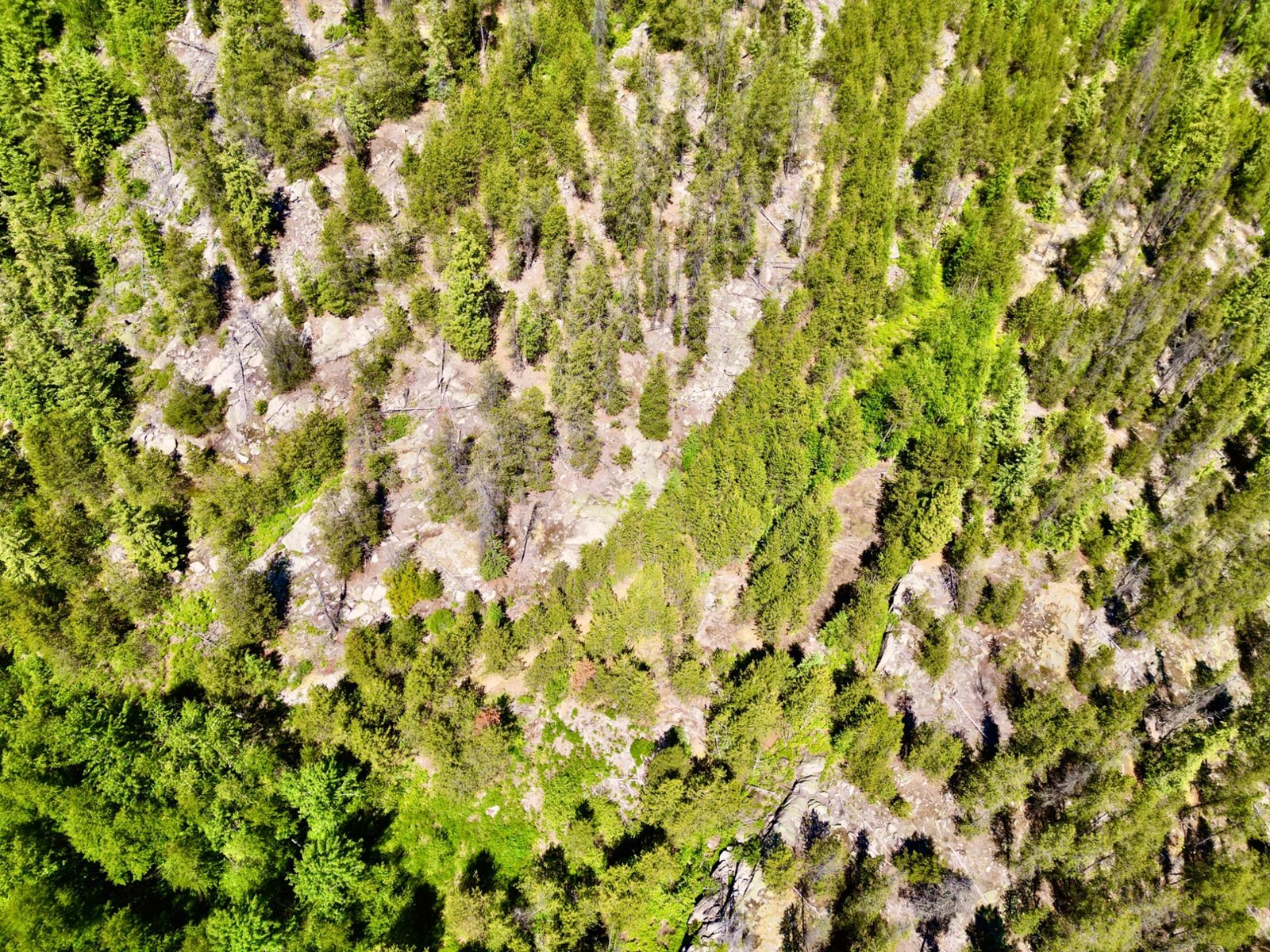 2700 14th Avenue, Castlegar, British Columbia  V1L 1Z1 - Photo 18 - 2477584