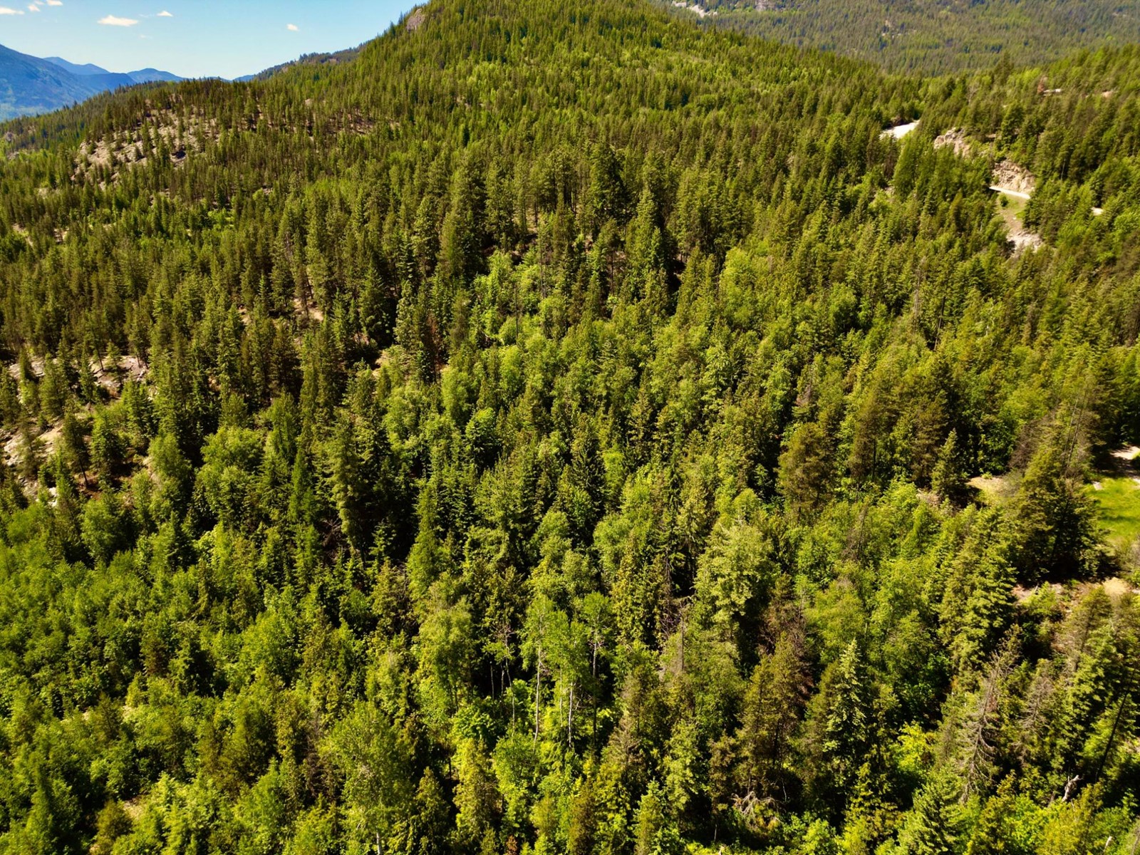 2700 14th Avenue, Castlegar, British Columbia  V1L 1Z1 - Photo 21 - 2477584