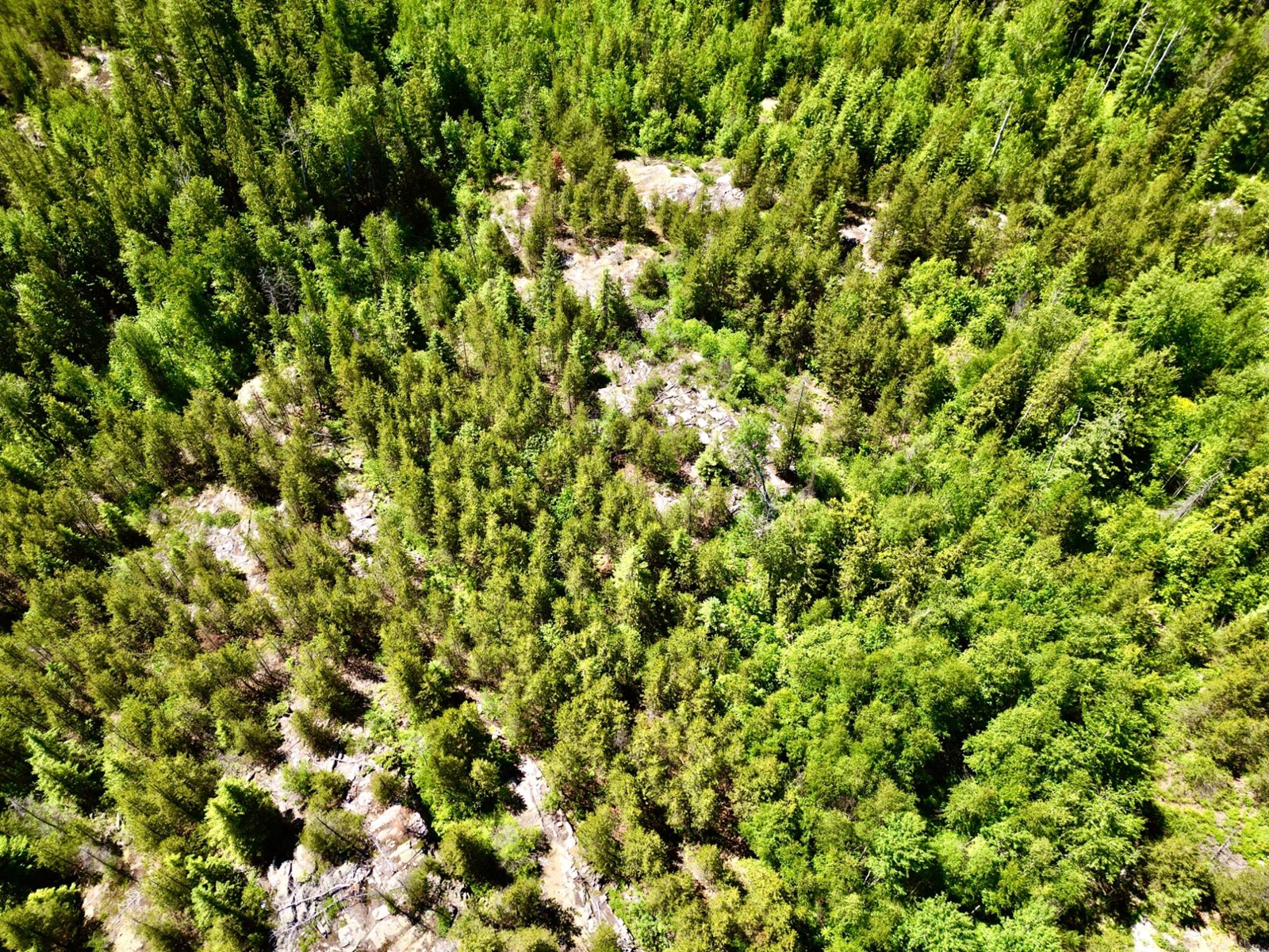 2700 14th Avenue, Castlegar, British Columbia  V1L 1Z1 - Photo 12 - 2477584