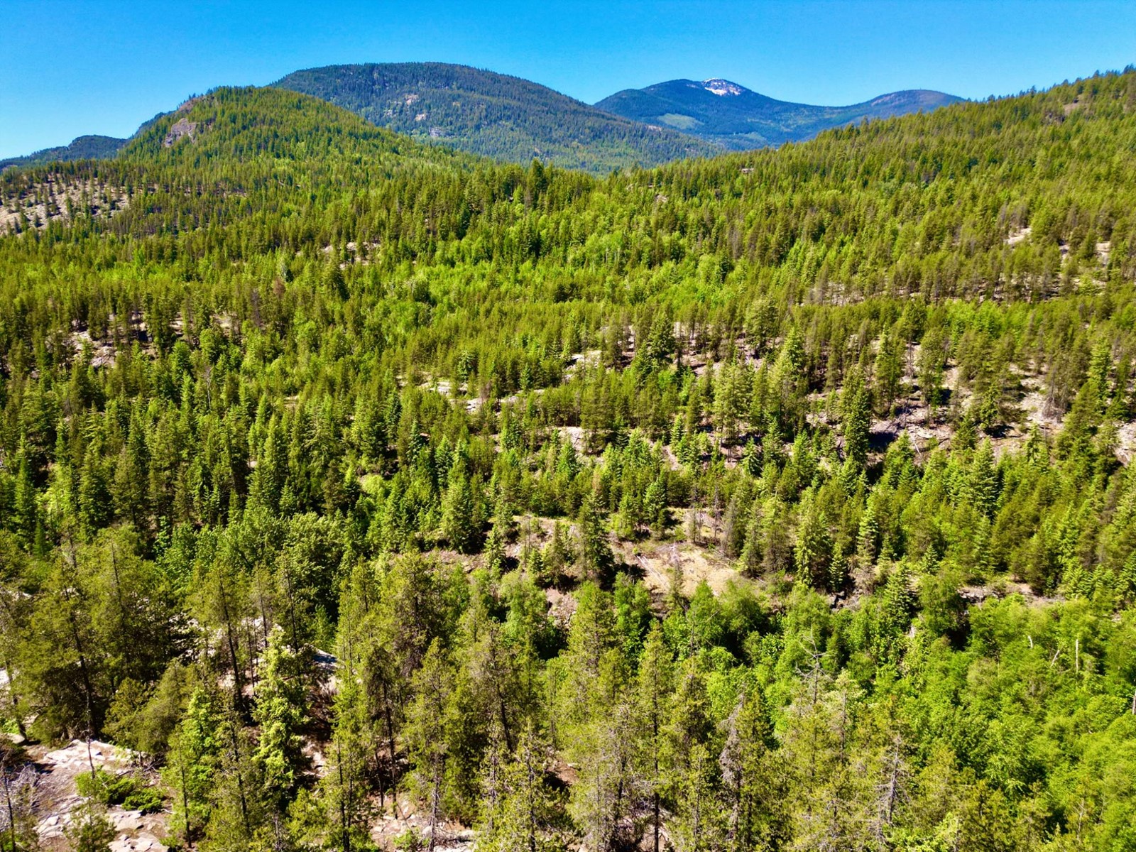 2700 14th Avenue, Castlegar, British Columbia  V1L 1Z1 - Photo 19 - 2477584