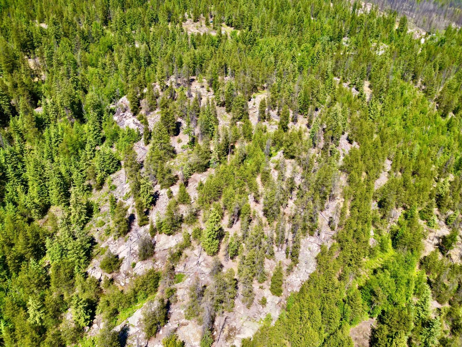 2700 14th Avenue, Castlegar, British Columbia  V1L 1Z1 - Photo 14 - 2477584