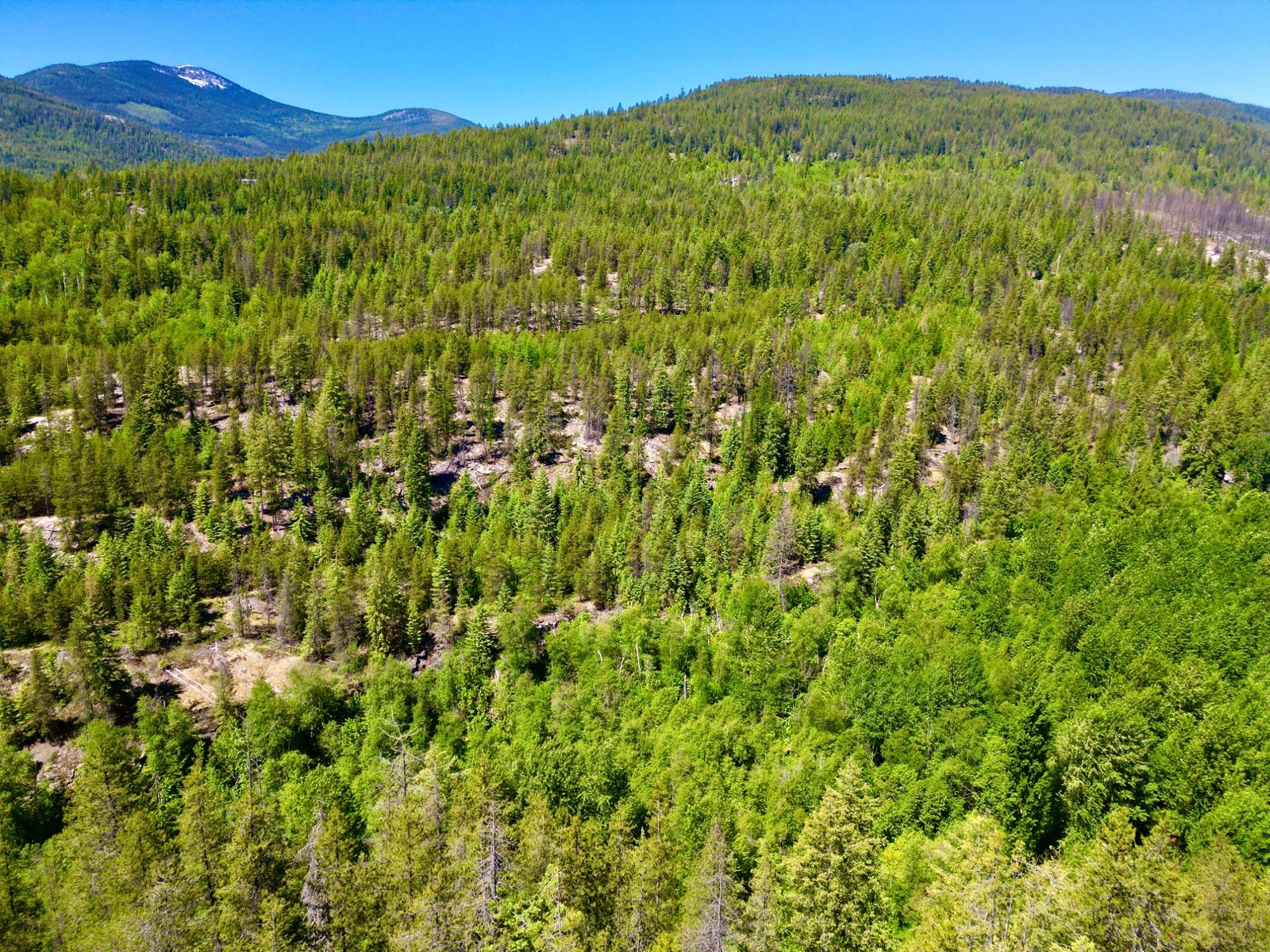 2700 14th Avenue, Castlegar, British Columbia  V1L 1Z1 - Photo 9 - 2477584