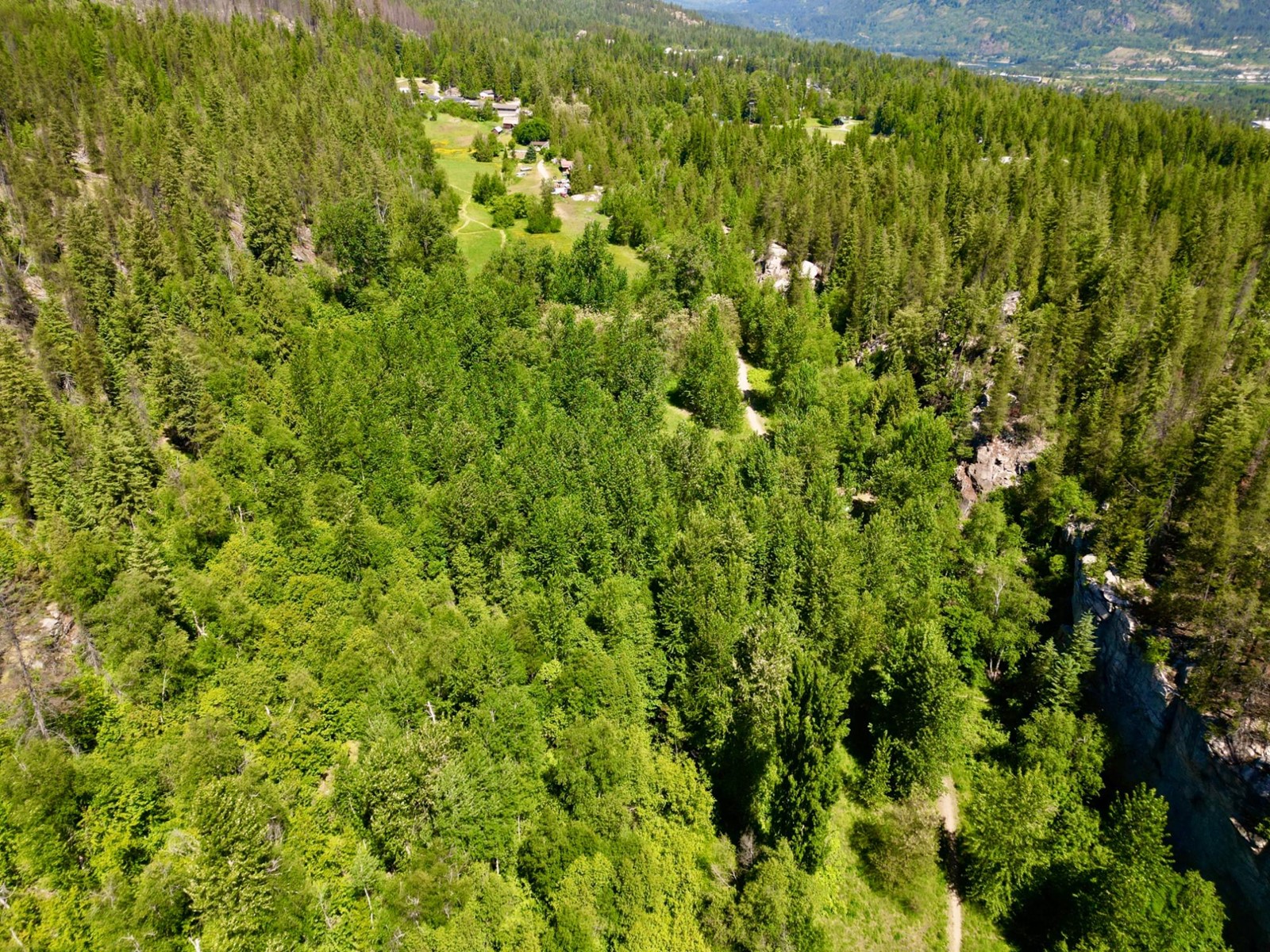 2700 14th Avenue, Castlegar, British Columbia  V1L 1Z1 - Photo 13 - 2477584