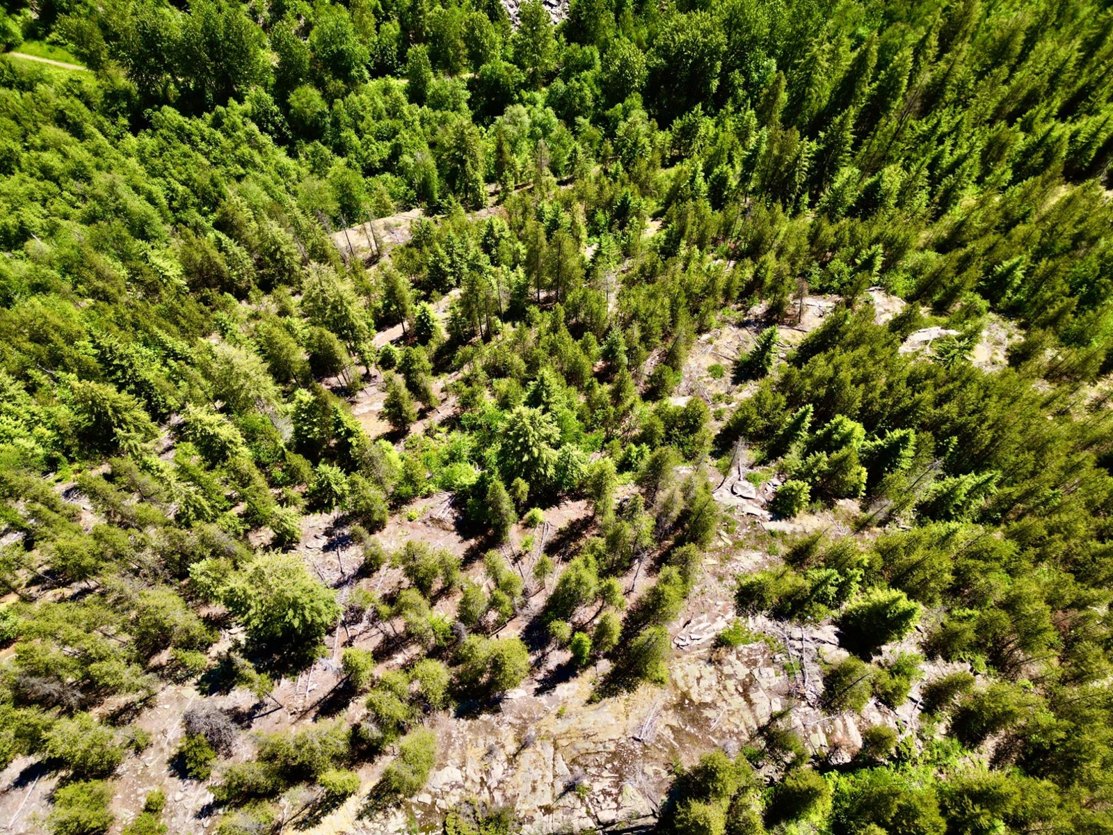 2700 14th Avenue, Castlegar, British Columbia  V1L 1Z1 - Photo 17 - 2477584