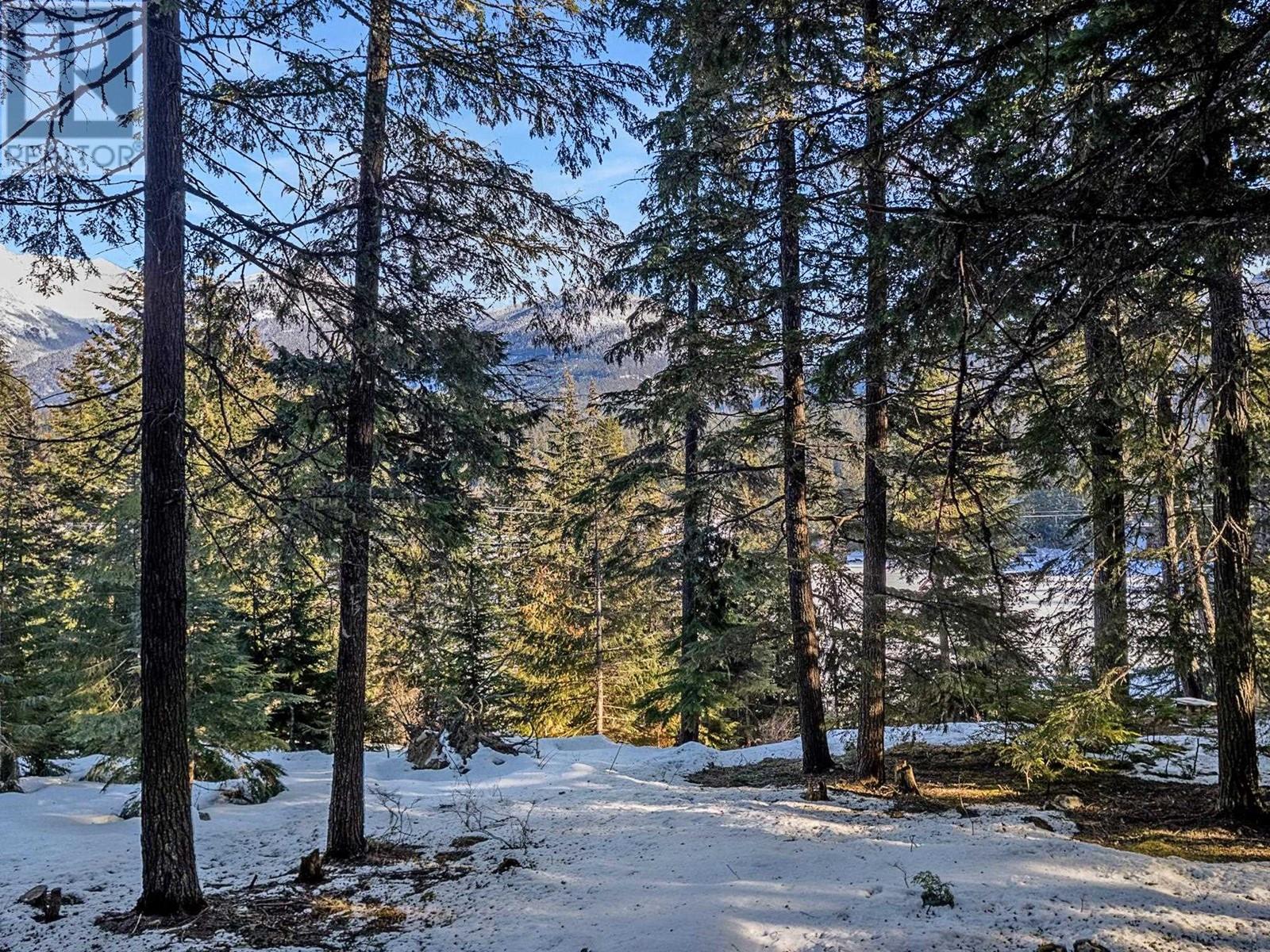 9279 Emerald Drive, Whistler, British Columbia  V8E 0G5 - Photo 10 - R2892772