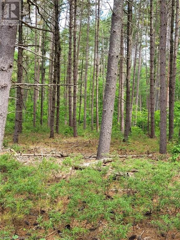 1251 Lake Dore Road Unit# 1, Golden Lake, Ontario  K0J 1X0 - Photo 3 - 40553575