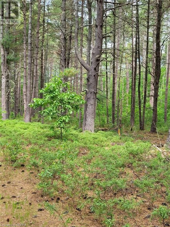 1251 Lake Dore Road Unit# 2, Golden Lake, Ontario  K0J 1X0 - Photo 2 - 40571901