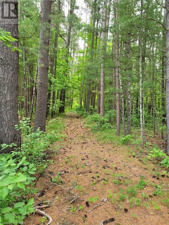 1251 Lake Dore Road Unit# 1, Golden Lake, Ontario  K0J 1X0 - Photo 2 - 40553575