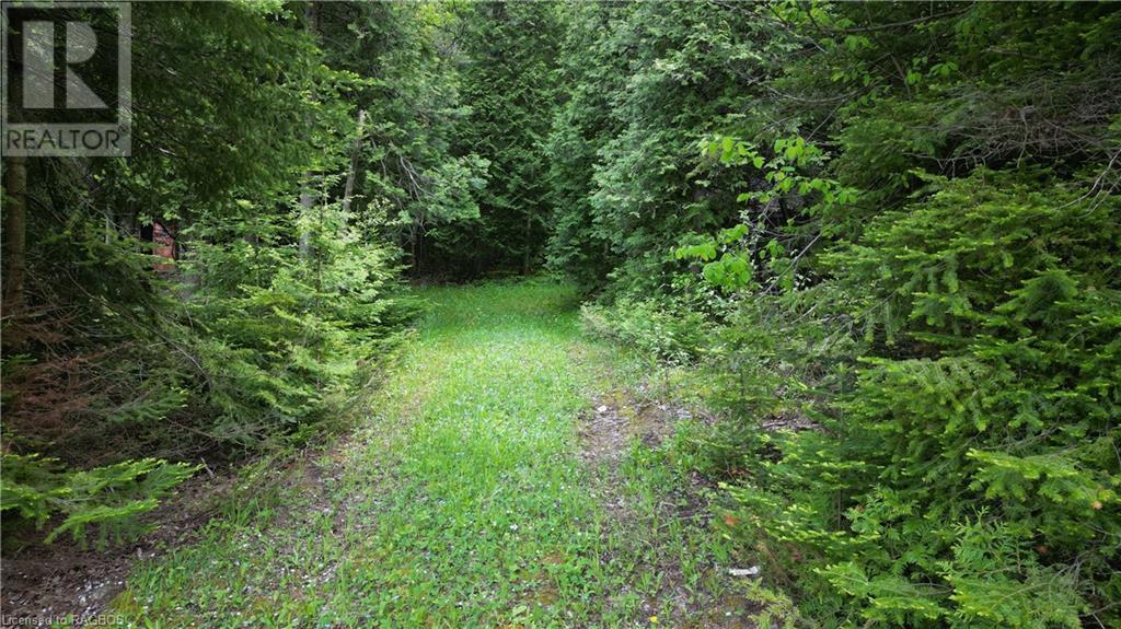 130 South Shore Road, Northern Bruce Peninsula, Ontario  N0H 1W0 - Photo 47 - 40603478