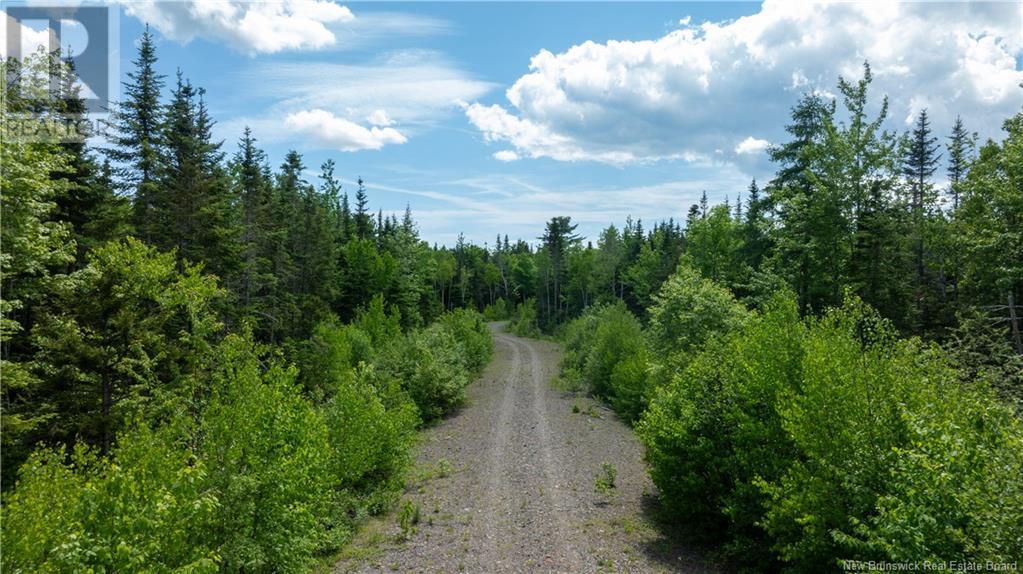 Lot 2011-1 Campbell Road, Nerepis, New Brunswick  E5K 3W3 - Photo 3 - NB101550