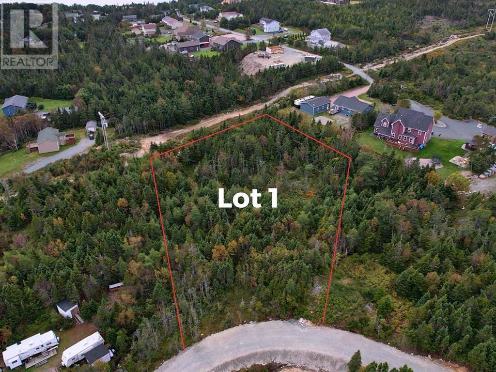 0 Beaver Pond Road Unit#Lot 1, cape broyle, Newfoundland & Labrador