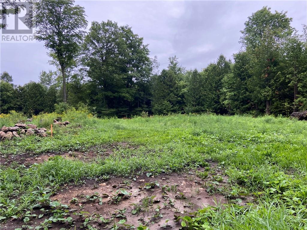 Part Of Lot 13 Penny Lane, Grey Highlands, Ontario  N0C 1E0 - Photo 6 - 40603469