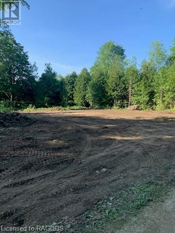 Part Of Lot 13 Penny Lane, Grey Highlands, Ontario  N0C 1E0 - Photo 10 - 40603469