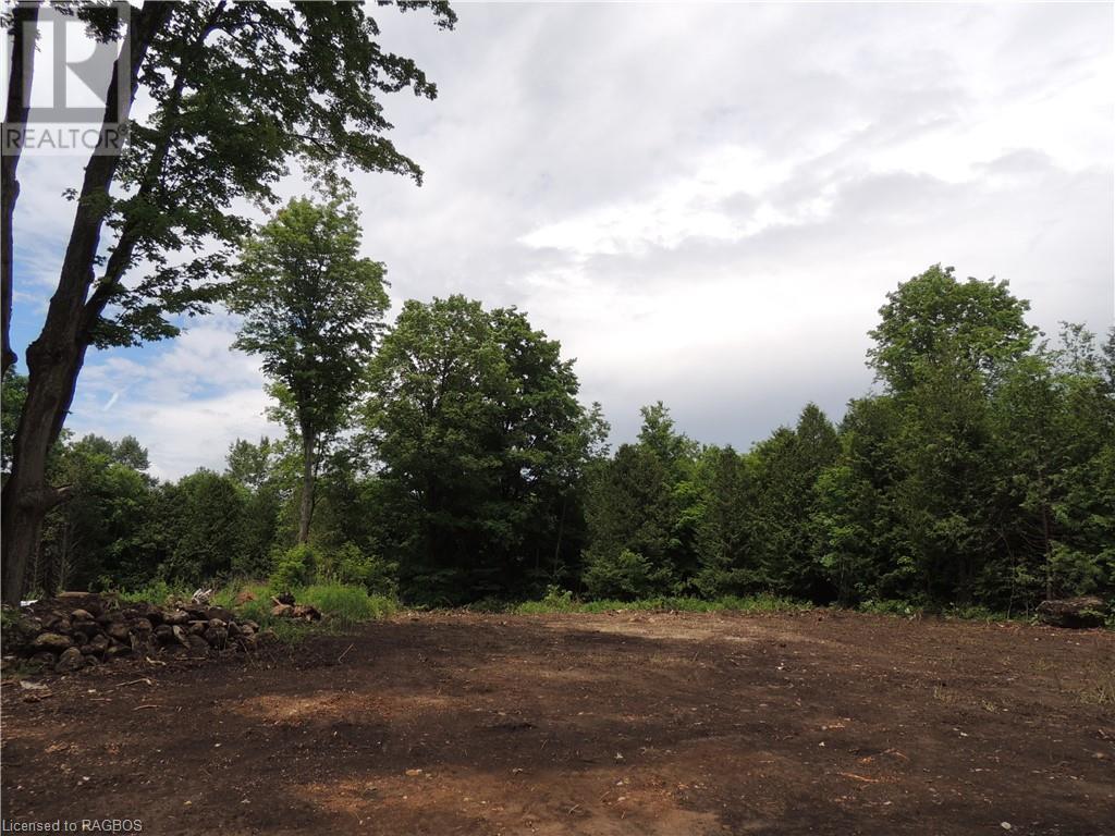 Part Of Lot 13 Penny Lane, Grey Highlands, Ontario  N0C 1E0 - Photo 7 - 40603469