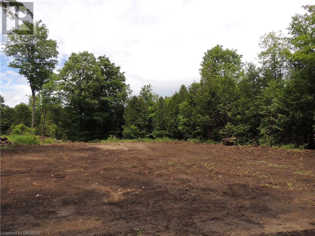 Part Of Lot 13 Penny Lane, Grey Highlands, Ontario  N0C 1E0 - Photo 8 - 40603469