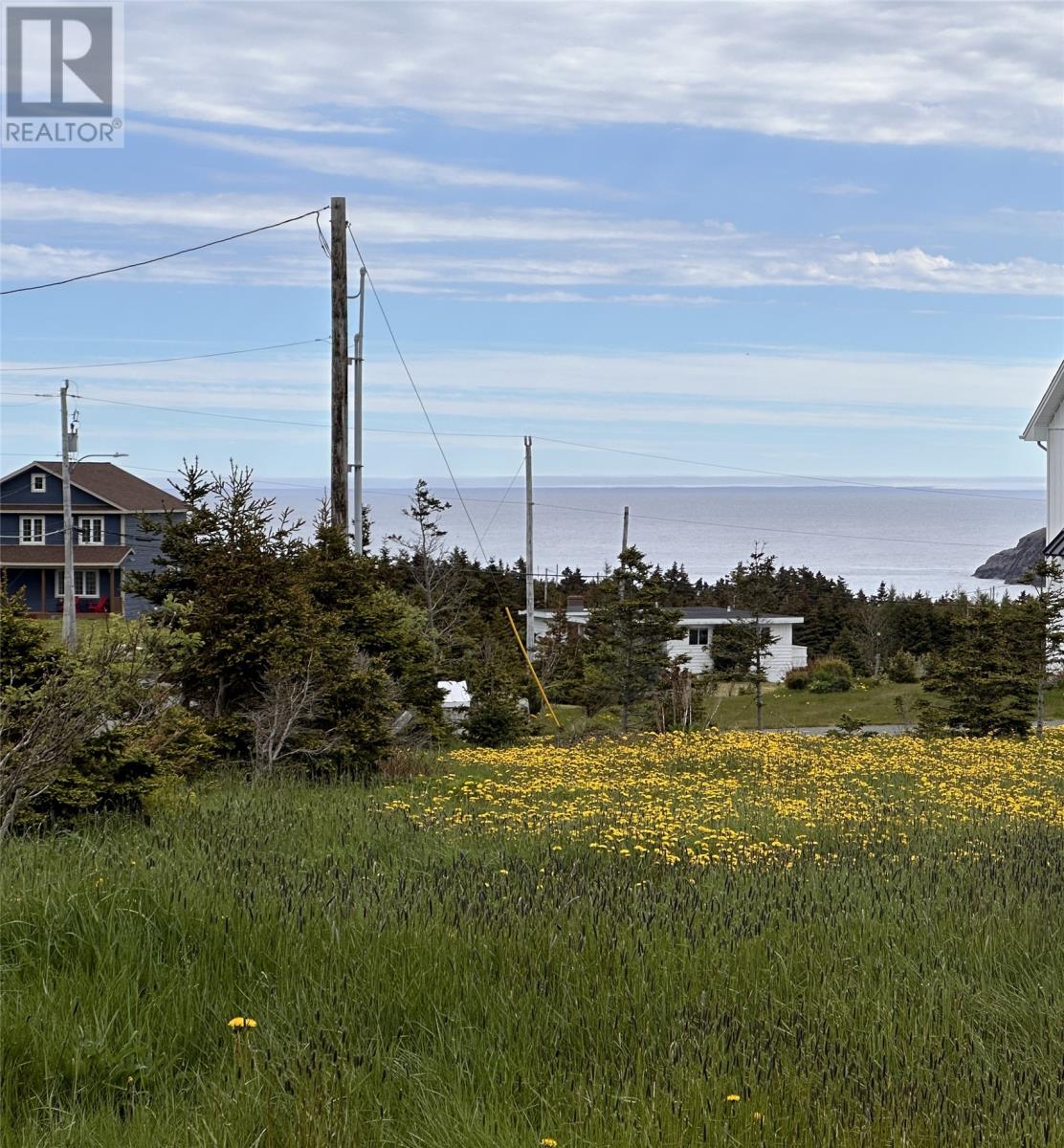 46-48 Barnes Road, Outer Cove, Newfoundland & Labrador  A1K 4A3 - Photo 8 - 1273358