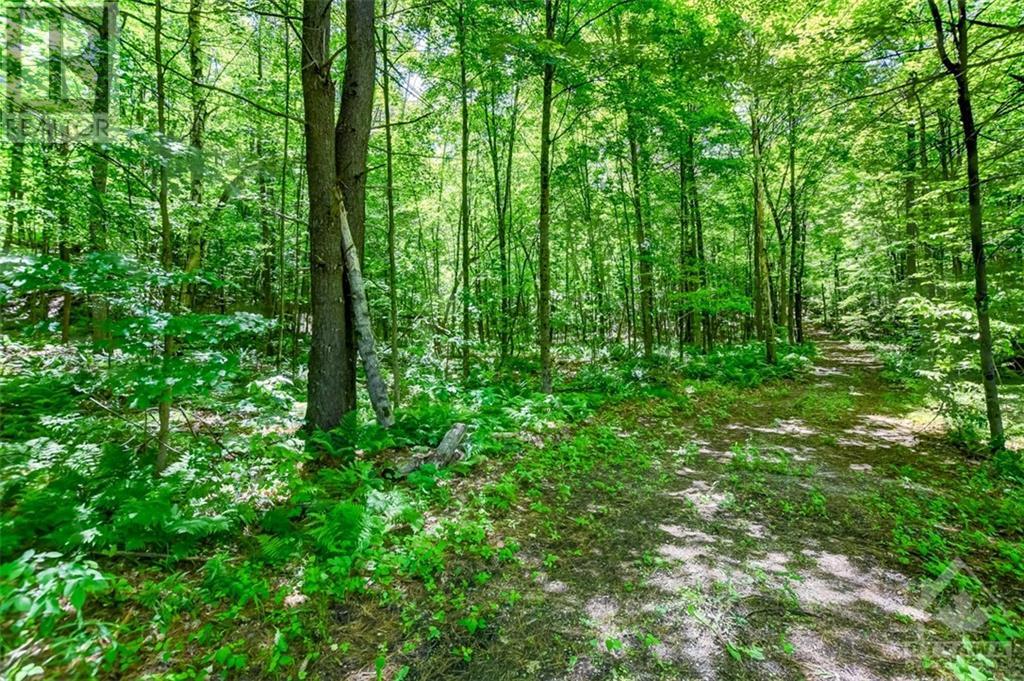 127 Jones Falls Road, Elgin, Ontario  K0G 1E0 - Photo 4 - 1378266