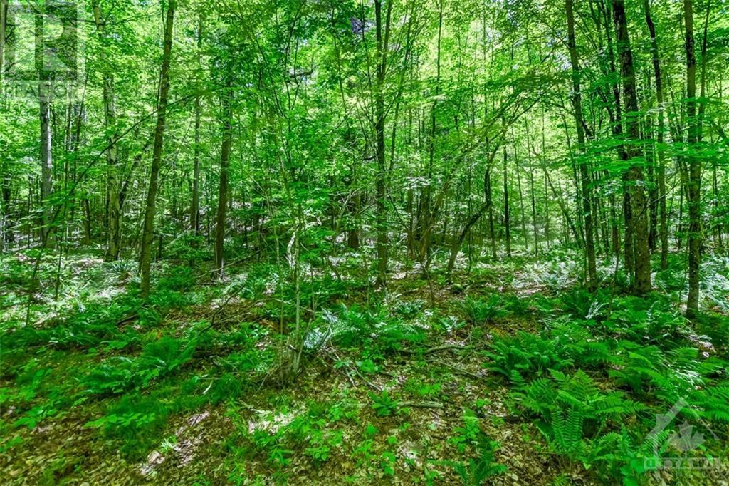 127 Jones Falls Road, Elgin, Ontario  K0G 1E0 - Photo 16 - 1378266