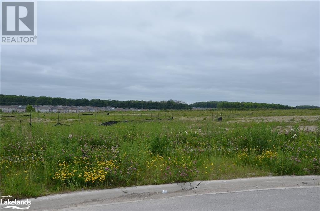 31 Nelle Carter Court, Orillia, Ontario  L3V 7S2 - Photo 4 - 40601122