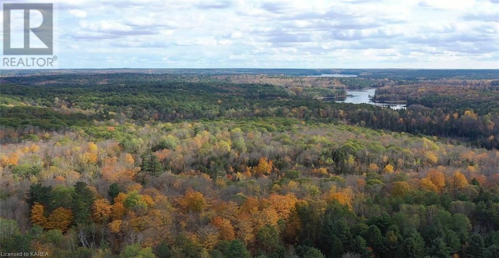 5026b Ardoch Road, Ardoch, Ontario  K0H 1C0 - Photo 11 - 40600876