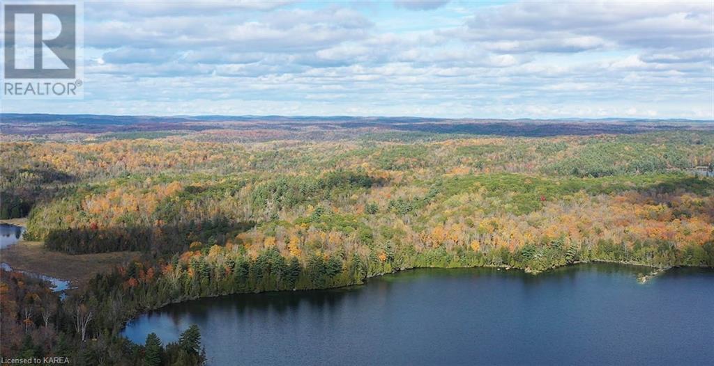 5026b Ardoch Road, Ardoch, Ontario  K0H 1C0 - Photo 12 - 40600876