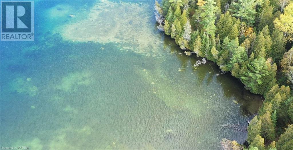 5026b Ardoch Road, Ardoch, Ontario  K0H 1C0 - Photo 15 - 40600876