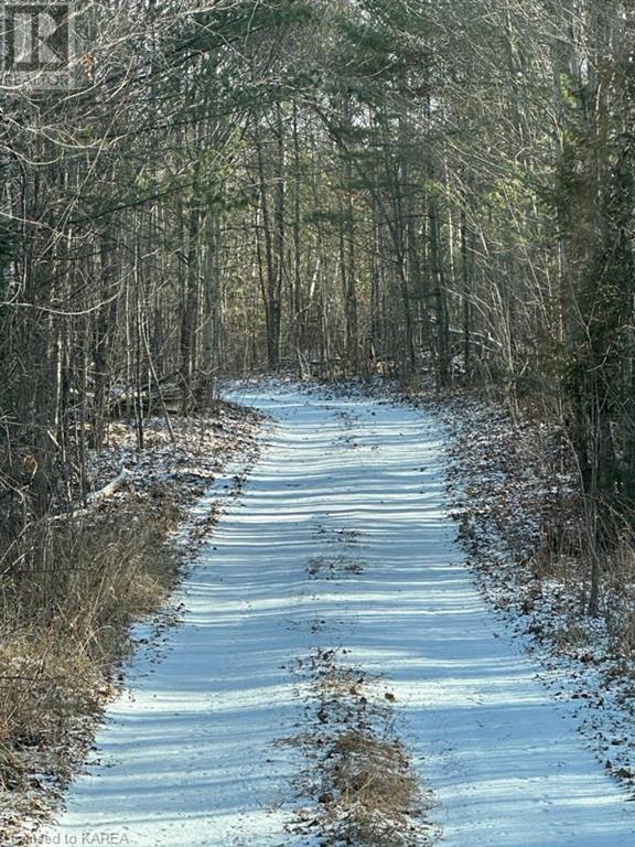 5026b Ardoch Road, Ardoch, Ontario  K0H 1C0 - Photo 23 - 40600876
