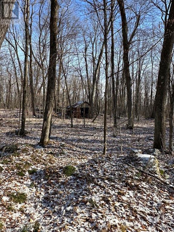 5026b Ardoch Road, Ardoch, Ontario  K0H 1C0 - Photo 24 - 40600876