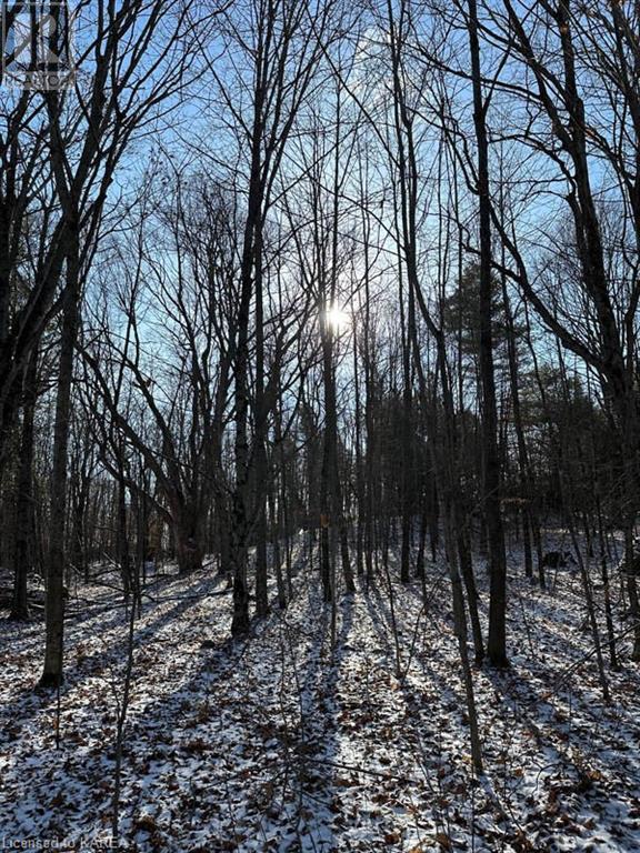 5026b Ardoch Road, Ardoch, Ontario  K0H 1C0 - Photo 26 - 40600876