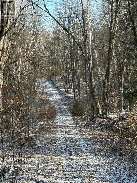 5026b Ardoch Road, Ardoch, Ontario  K0H 1C0 - Photo 27 - 40600876